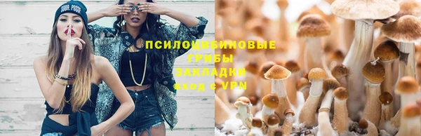 прущие крисы Бронницы