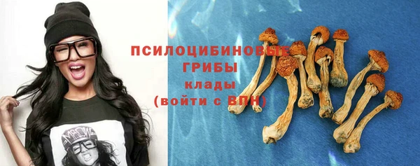 прущие крисы Бронницы