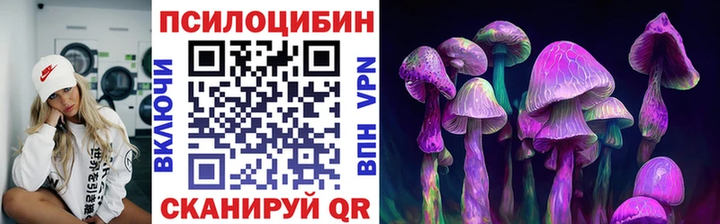 Галлюциногенные грибы Psilocybe  Купить закладки  Невельск 